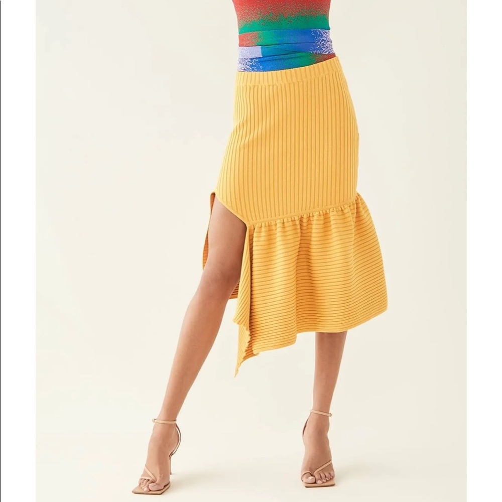 Revolve Skirt - Picture 2 of 6